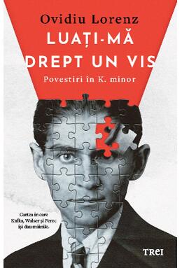Copertă produs Luați-mă drept un vis. Povestiri &icirc;n K. minor