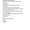 Copertă produs Europa natală - gallery small 
