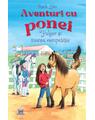 Copertă produs Aventuri cu ponei. Fulger și marea competiție (Vol. 3) - thumb 1
