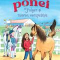 Copertă produs Aventuri cu ponei. Fulger și marea competiție (Vol. 3) - gallery small 