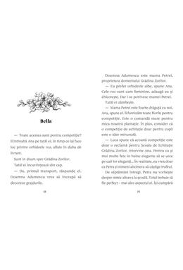 Copertă produs Aventuri cu ponei. Fulger și marea competiție (Vol. 3)