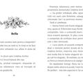 Copertă produs Aventuri cu ponei. Fulger și marea competiție (Vol. 3) - gallery small 