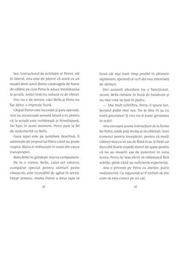 Copertă produs Aventuri cu ponei. Fulger și marea competiție (Vol. 3)