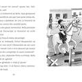 Copertă produs Aventuri cu ponei. Fulger și marea competiție (Vol. 3) - gallery small 