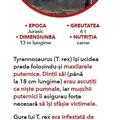 Copertă produs Sunt Imbatabil - Dinozaurii - gallery small 