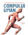 Copertă produs Extraordinara enciclopedie a corpului uman - thumb 1
