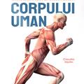 Copertă produs Extraordinara enciclopedie a corpului uman - gallery small 