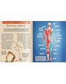 Copertă produs Extraordinara enciclopedie a corpului uman - thumb 2