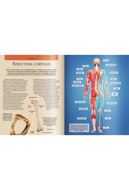 Copertă produs Extraordinara enciclopedie a corpului uman