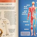 Copertă produs Extraordinara enciclopedie a corpului uman - gallery small 