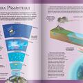 Copertă produs Extraordinara enciclopedie a spațiului - gallery small 