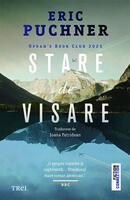 Stare de visare