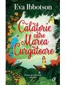 Copertă produs Călătorie către Marea Curgătoare - thumb 1