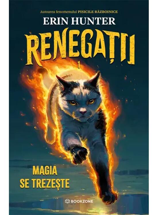 Copertă produs Renegații. Magia se trezește (Vol. 1) - gallery big 1
