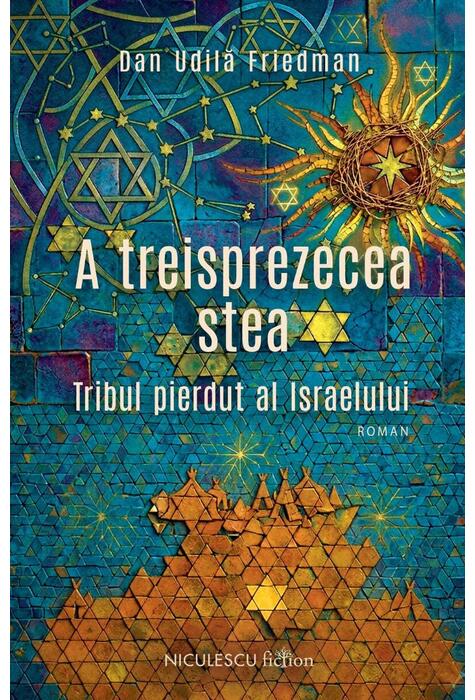 Copertă produs A treisprezecea stea