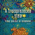 Copertă produs A treisprezecea stea - gallery small 
