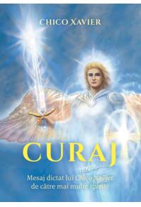 Copertă produs Curaj