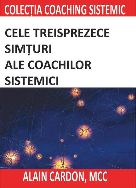 Cele treisprezece simțuri ale coachilor sistemici - BMI