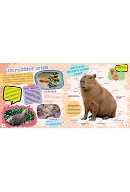 Copertă produs Capibara - Cel mai drăguț animal din lume