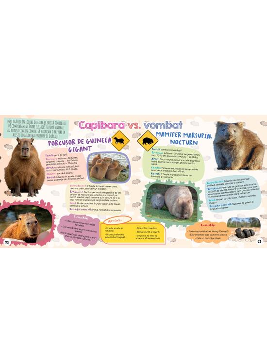 Copertă produs Capibara - Cel mai drăguț animal din lume - gallery big 4