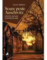 Copertă produs Soare peste Auschwitz - thumb 1