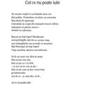Copertă produs Cel ce nu poate iubi - gallery small 