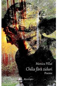 Copertă produs Chilia fără ziduri