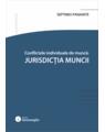 Copertă produs Conflicte individuale de muncă. Jurisdicția muncii - thumb 1
