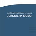 Copertă produs Conflicte individuale de muncă. Jurisdicția muncii - gallery small 