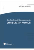 Imagine produs Conflicte individuale de muncă. Jurisdicția muncii