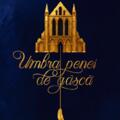 Copertă produs Umbra penei de g&acirc;scă - gallery small 