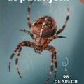 Copertă produs Mic determinator de păianjeni - gallery small 
