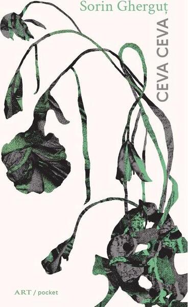 Ceva ceva - Paperback brosat - Art