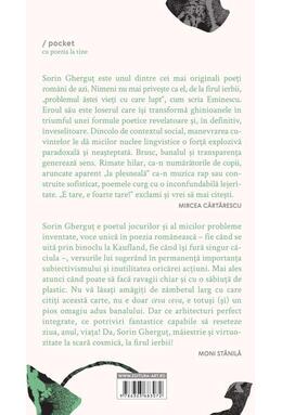 Copertă produs Ceva ceva