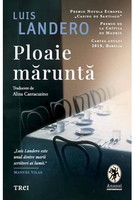 Copertă produs Ploaie măruntă