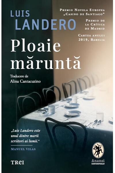 Ploaie măruntă
