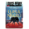 Copertă produs Lupul negru (Vol. 20)