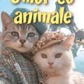 Copertă produs Umor cu animale - gallery small 