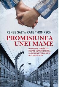 Copertă produs Promisiunea unei mame