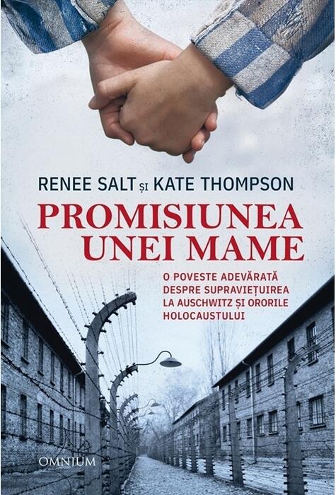 Copertă produs Promisiunea unei mame