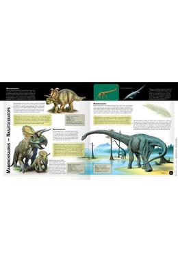 Copertă produs Dinozaurii 3D