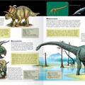 Copertă produs Dinozaurii 3D - gallery small 