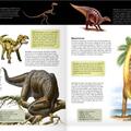 Copertă produs Dinozaurii 3D - gallery small 
