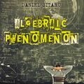 Copertă produs Algebraic Phenomenon - gallery small 