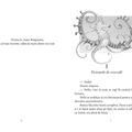 Copertă produs Pimpinella, prințesa mărilor. Pătrunderea &icirc;n lumea subacvatică (Vol. 1) - gallery small 