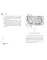Copertă produs Pimpinella, prințesa mărilor. Pătrunderea &icirc;n lumea subacvatică (Vol. 1) - thumb 5