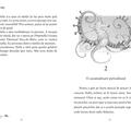 Copertă produs Pimpinella, prințesa mărilor. Pătrunderea &icirc;n lumea subacvatică (Vol. 1) - gallery small 