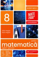 Imagine produs Matematică. Aritmetică, algebră, geometrie. Clasa a VIII-a. Consolidare. Partea a I-a
