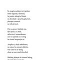 Copertă produs Vea, bufnița roz - gallery small 