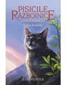 Copertă produs Pachet Seria Pisicile războinice (Vol. 25-28) - thumb 2